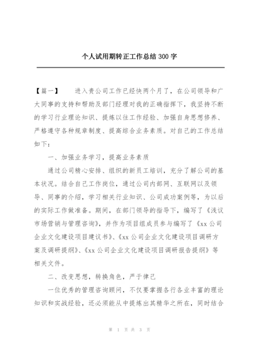 个人试用期转正工作总结300字.docx