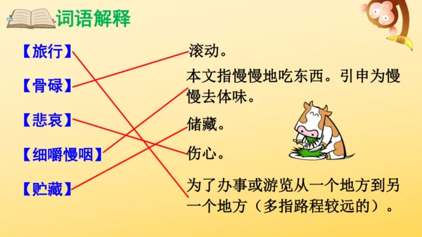 10 在牛肚子里旅行    课件