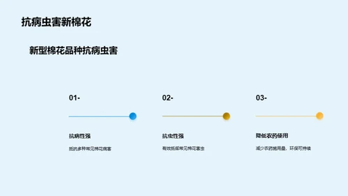 棉花种植：未来视野