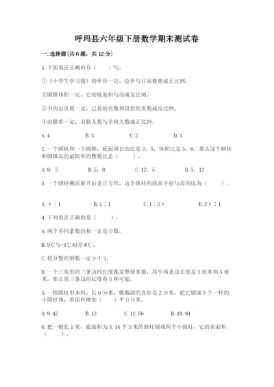 呼玛县六年级下册数学期末测试卷学生专用.docx