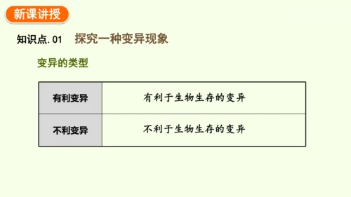 7.2.5生物的变异-八年级生物人教版下学期同步精品课件(共34张PPT)