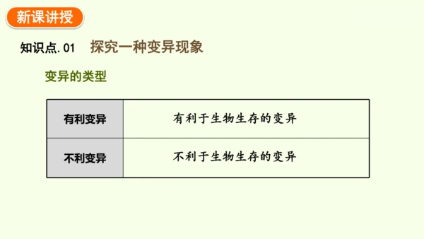 7.2.5生物的变异-八年级生物人教版下学期同步精品课件(共34张PPT)