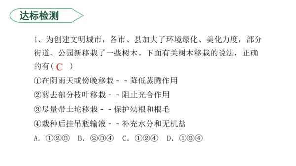 3.3 绿色植物与生物圈的水循环（课件）七年级生物上学期（人教版）(共25张PPT)