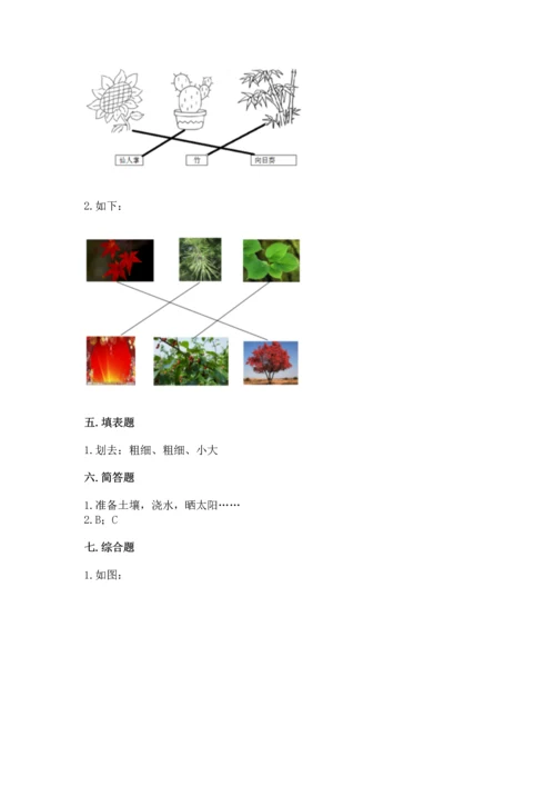 教科版科学一年级上册第一单元《植物》测试卷含答案【综合卷】.docx