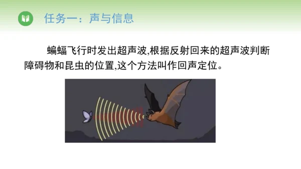 人教版（2024）八年级物理上册2.3 声的利用 课件(共22张PPT)