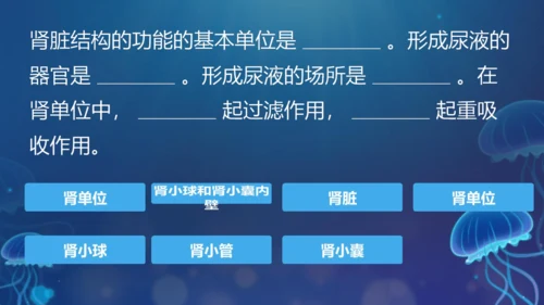 初中生物学[期末专区]七年级下册第四章和第五章复习课件(共39张PPT)