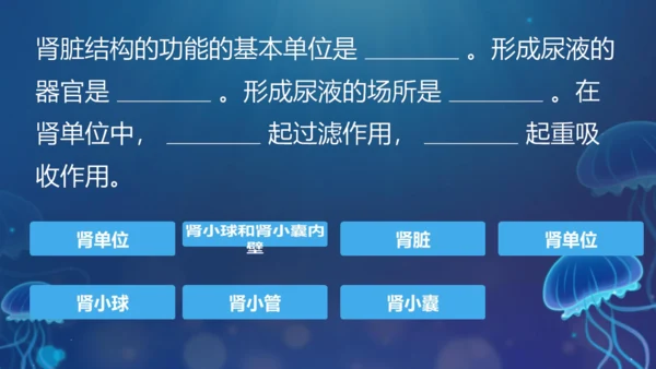 初中生物学[期末专区]七年级下册第四章和第五章复习课件(共39张PPT)