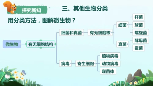 6.1.1 尝试对生物进行分类 课件（人教版）(共24张PPT)+视频素材