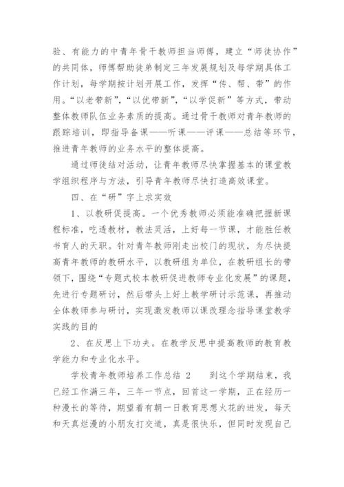 学校青年教师培养工作总结.docx