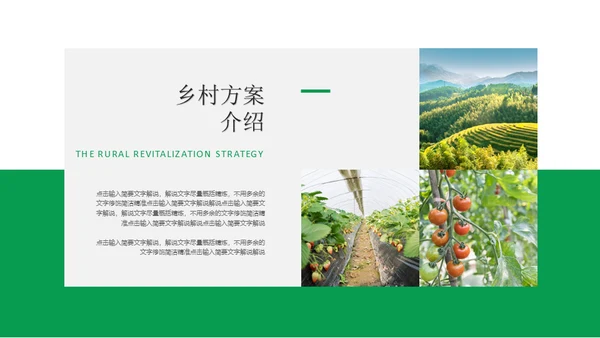 建设新时代美丽新农村通用PPT模板