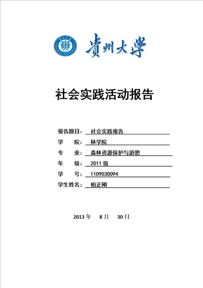 2013年暑假社会实践报告