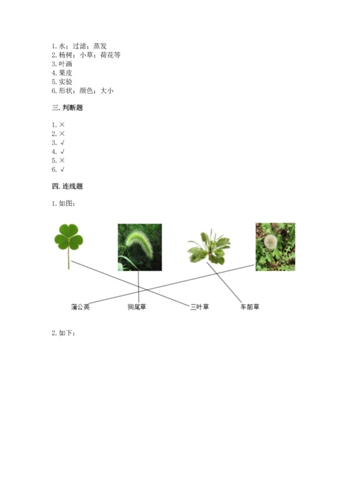 教科版科学一年级上册第一单元《植物》测试卷（精练）.docx