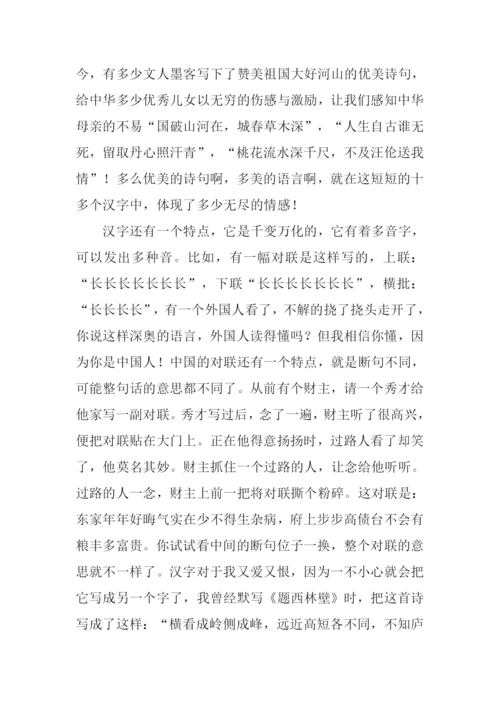 汉字的魅力作文800字.docx