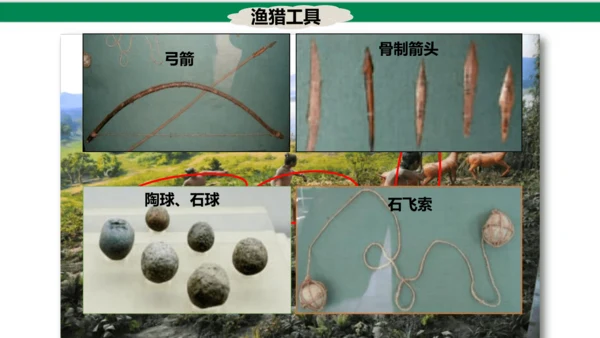 第2课 原始农耕生活  课件