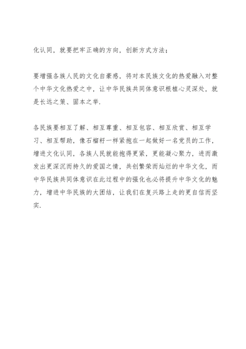 筑牢中华民族共同体意识发生亮剑.docx