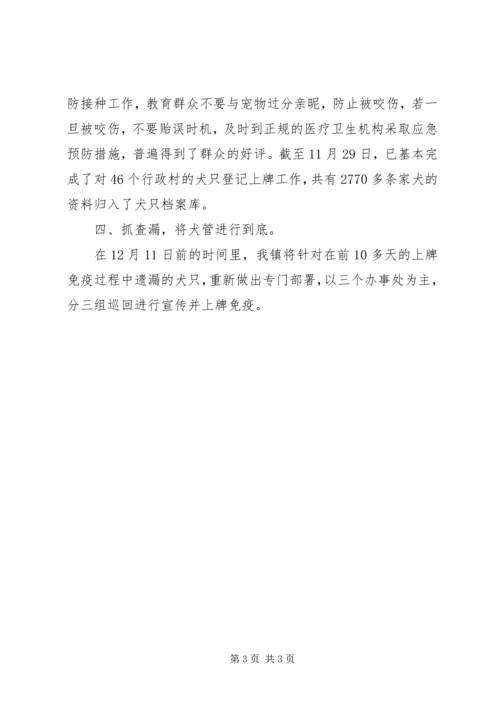 犬只管理汇报材料 (3).docx