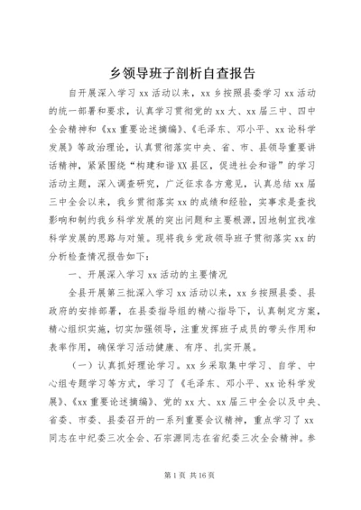 乡领导班子剖析自查报告.docx