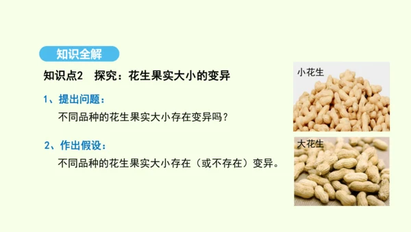 7.2.5生物的变异课件-人教版生物八年级下册(共28张PPT)