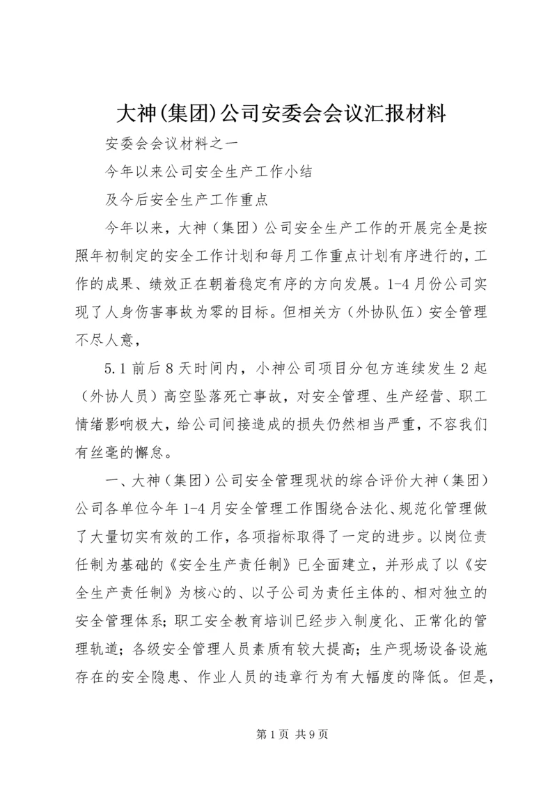 大神(集团)公司安委会会议汇报材料.docx