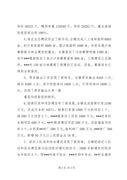 乡镇某年工作总结某年工作思路.docx