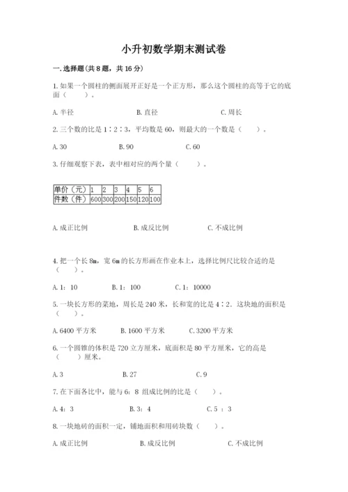 小升初数学期末测试卷（名师系列）.docx