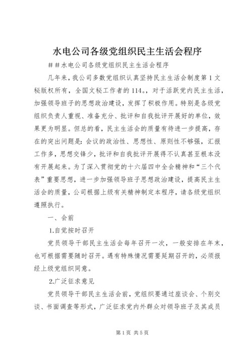 水电公司各级党组织民主生活会程序 (2).docx