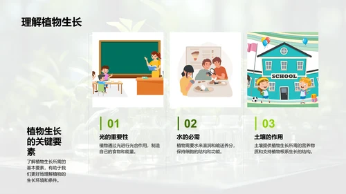 探秘植物生长