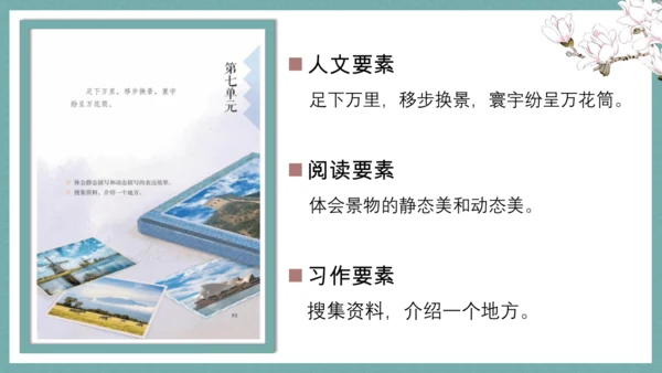 统编版语文五年级下册第七单元教材解读   课件