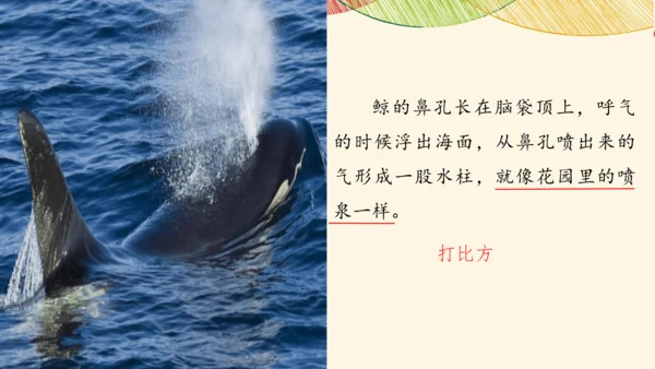 部编版五年级上册语文习作例文与习作   课件