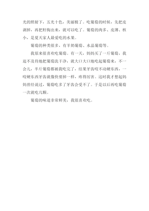 作文一种水果葡萄.docx