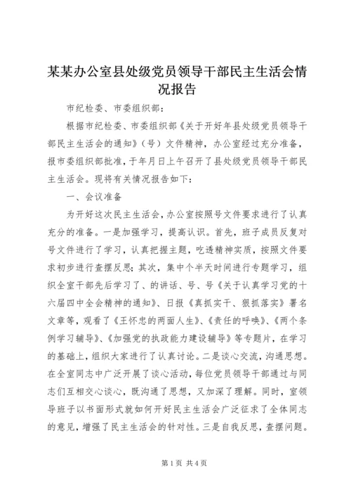 某某办公室县处级党员领导干部民主生活会情况报告 (2).docx