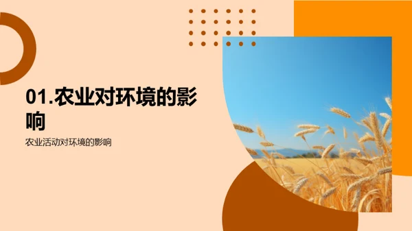 农业生态保护策略