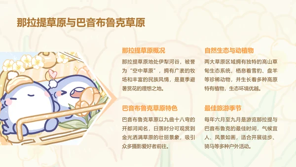 芳菲呆呆鲨橙色卡通风新疆旅游攻略