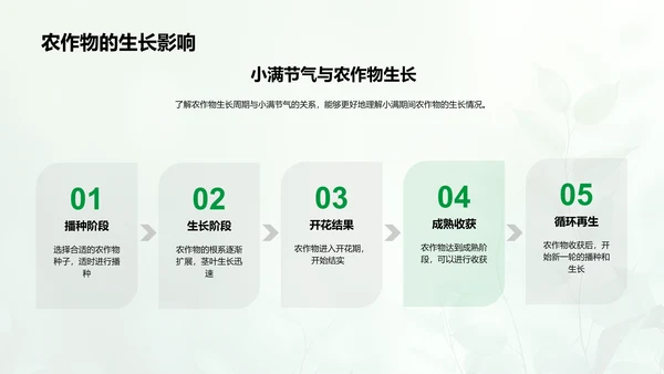 小满节气自然解读PPT模板
