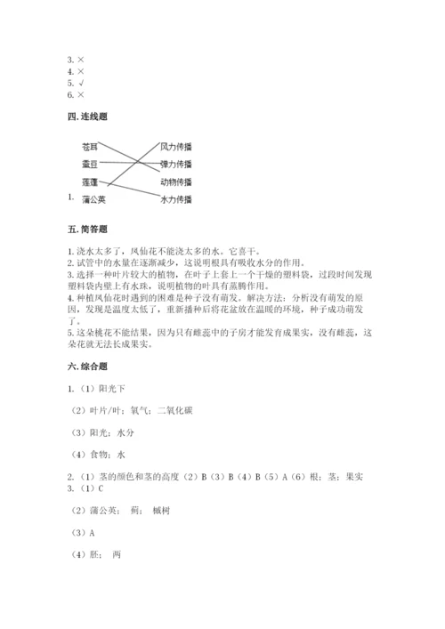 教科版四年级下册科学第一单元《植物的生长变化》测试卷带答案（精练）.docx