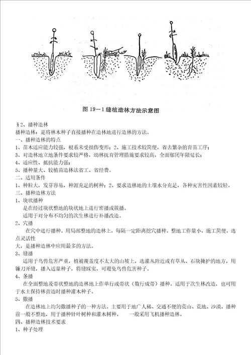 林业技能造林更新工培训课程