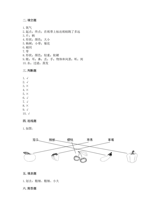 教科版小学一年级上册科学期末测试卷附答案【培优a卷】.docx