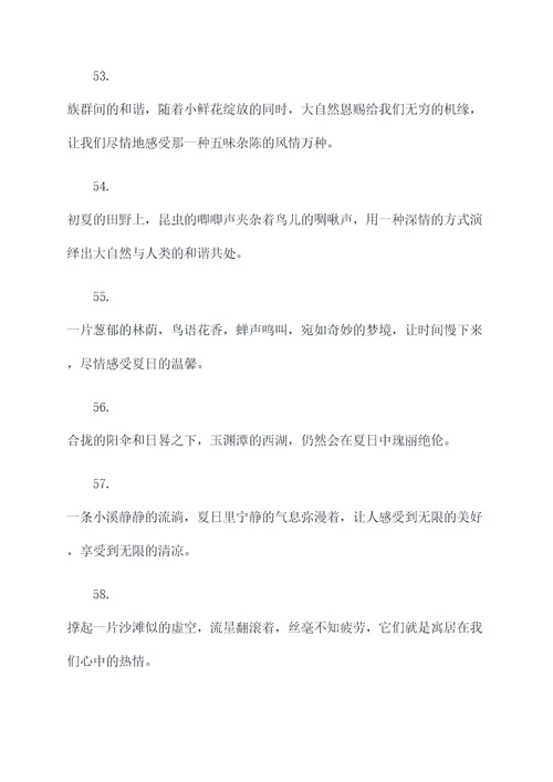 夏天的故事摘抄好词好句
