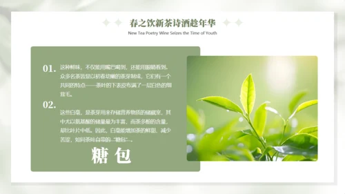 春天的仪式感春天主题通用PPT模板