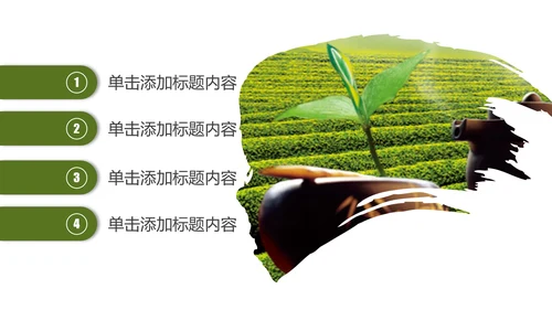 绿茶产品介绍茶叶茶文化春茶紫砂壶PPT