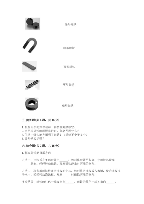苏教版二年级下册科学期末测试卷有答案解析.docx