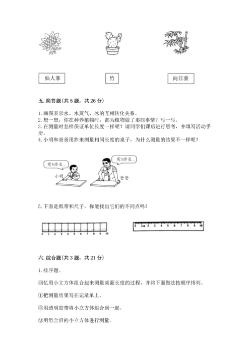 教科版一年级上册科学期末测试卷审定版.docx