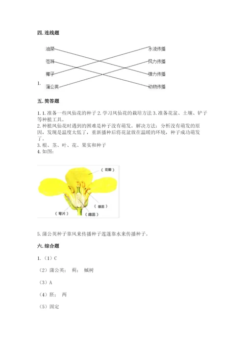 教科版四年级下册科学第一单元《植物的生长变化》测试卷【夺冠系列】.docx