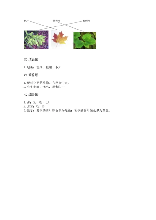 教科版科学一年级上册第一单元《植物》测试卷带答案（综合卷）.docx