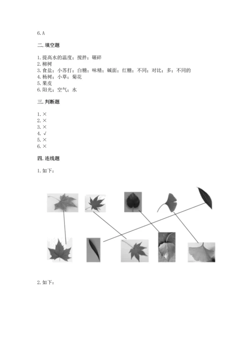 教科版科学一年级上册第一单元《植物》测试卷带答案（综合卷）.docx
