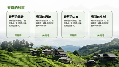 春茶的故事-茶叶PPT