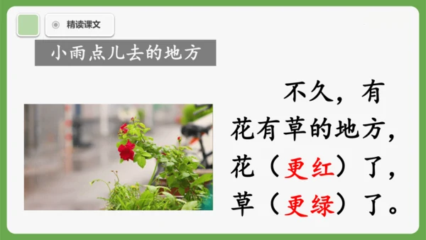 10《雨点儿》课件