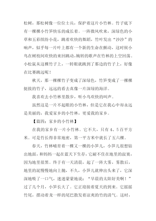 小竹林作文0.docx