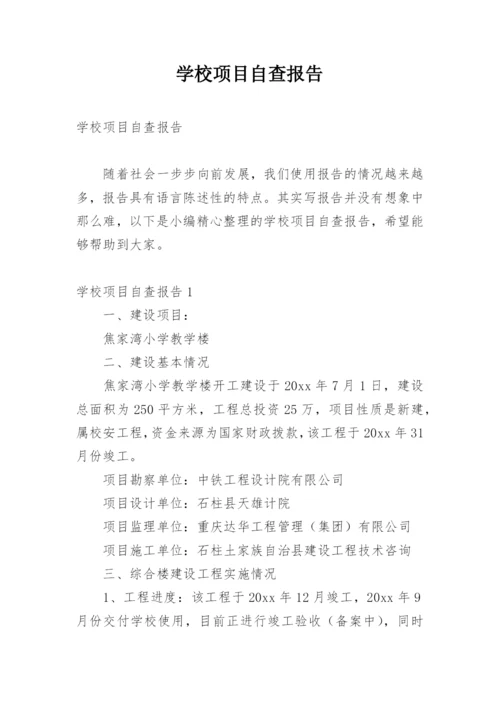 学校项目自查报告.docx