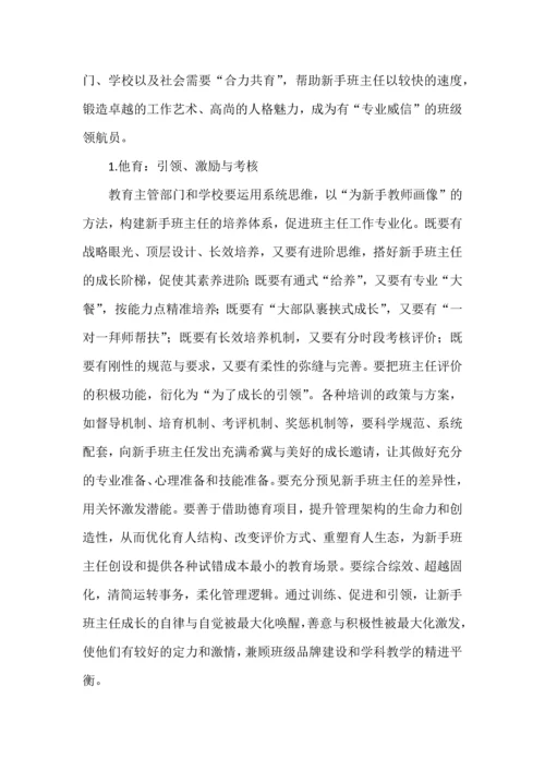 新手班主任的角色塑造与价值构建.docx